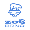 Zoo Brno - Medvěd lední
